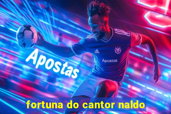 fortuna do cantor naldo